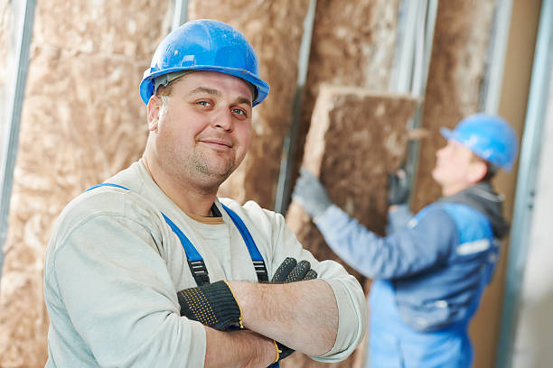 Best Insulation Installation Services in Wilder, ID