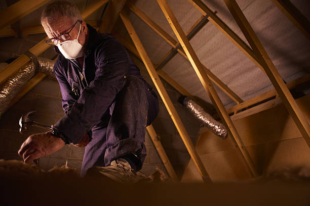 Best Types of Insulation in Wilder, ID